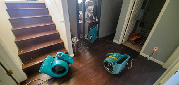 Trusted Centreville, MI Water damage restoration Experts