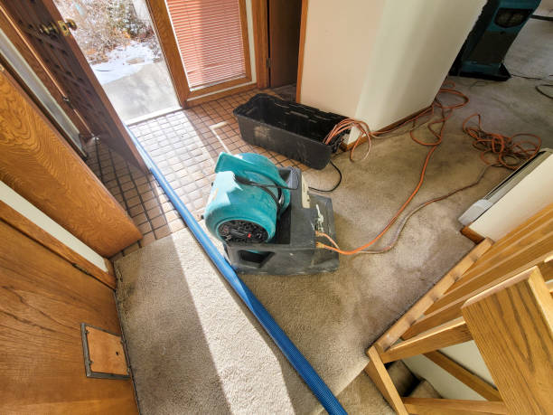 Best Flooded house restoration  in Centreville, MI