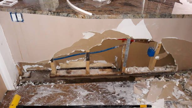 Best Basement water damage restoration  in Centreville, MI