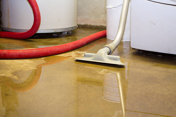 Best Fire Damage Restoration  in Centreville, MI