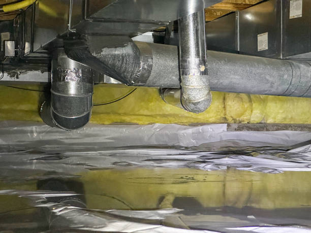 Best Residential water damage restoration  in Centreville, MI