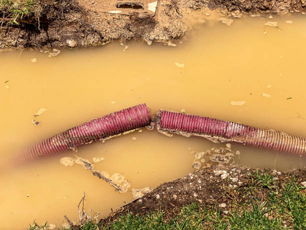 Best Carpet water damage restoration  in Centreville, MI