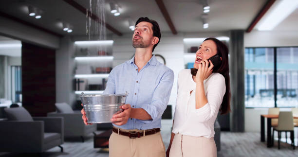 Best Water damage contractors near me  in Centreville, MI